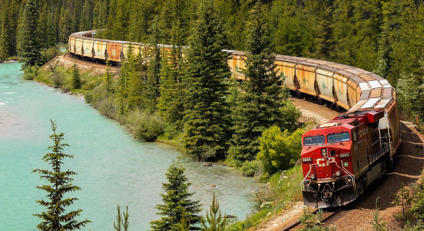 train going through the forest